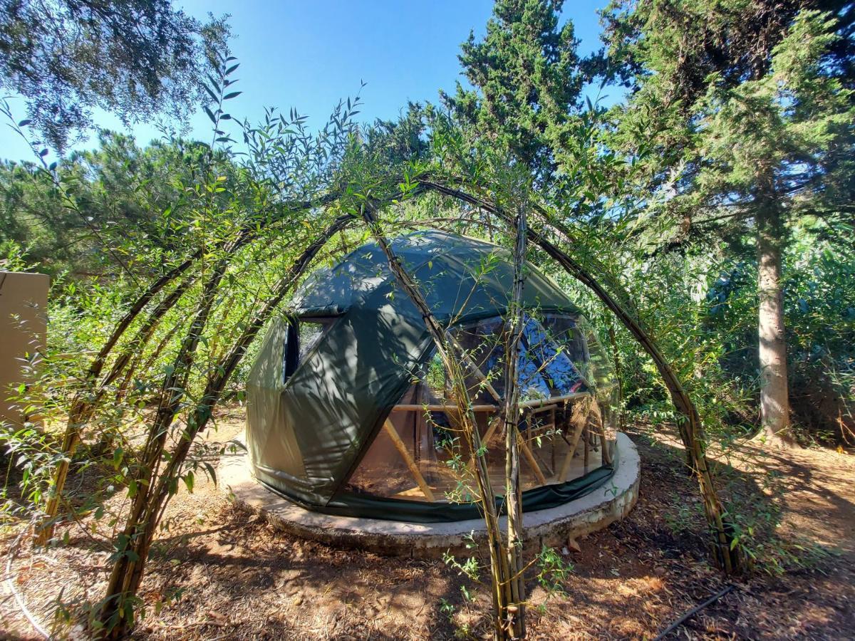 Salema Eco Camp - Sustainable Camping & Glamping Kültér fotó
